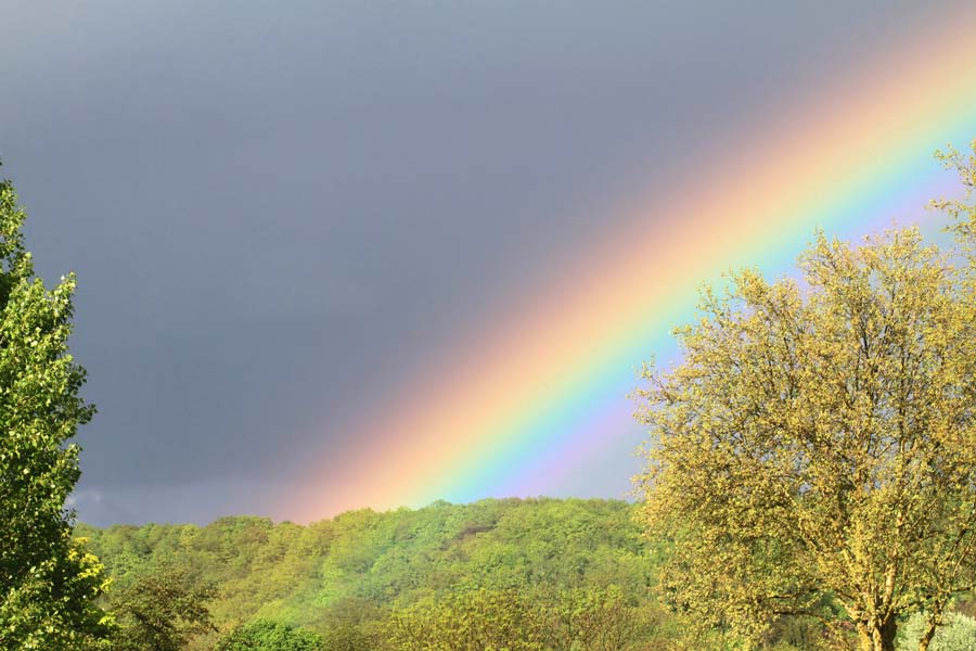 Formation yoga et hypno-méditation pranayama et bioénergie certifiée yoga alliance
