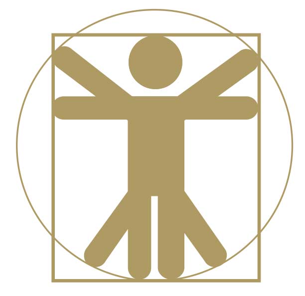 physiologie-anatomie-cours-kine-formation-yoga-initiale-en-ligne